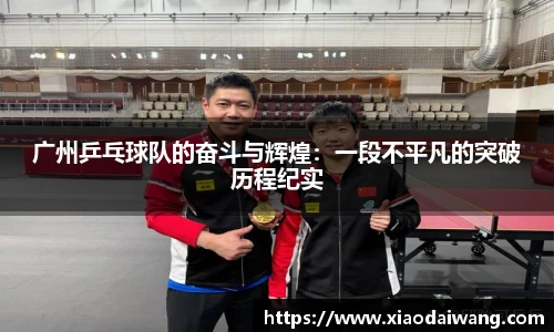 pg模拟器